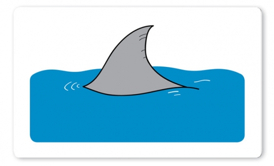 Haiflosse Brettchen blau